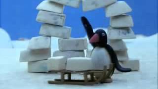 Pingu gör en igloo