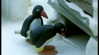 Pingu och flaskposten