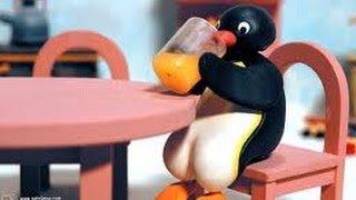 Pingu