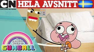 Gumball | Hjärnan! - hela avsnitt | Svenska Cartoon Network